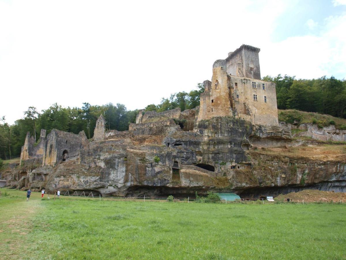 Cozy Cottage In Aquitaine With Private Swimming Pool Peyzac-le-Moustier Eksteriør bilde
